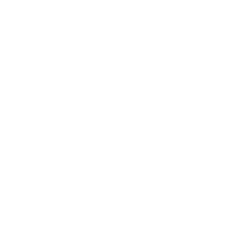 feature-icon