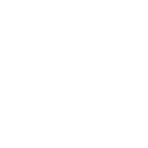 feature-icon