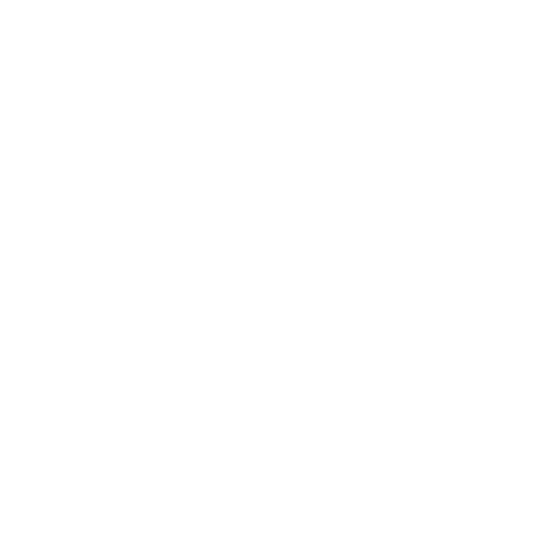 feature-icon