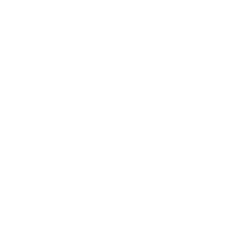 feature-icon