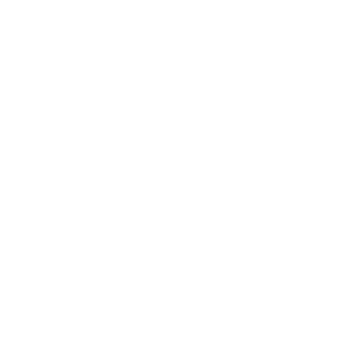 feature-icon